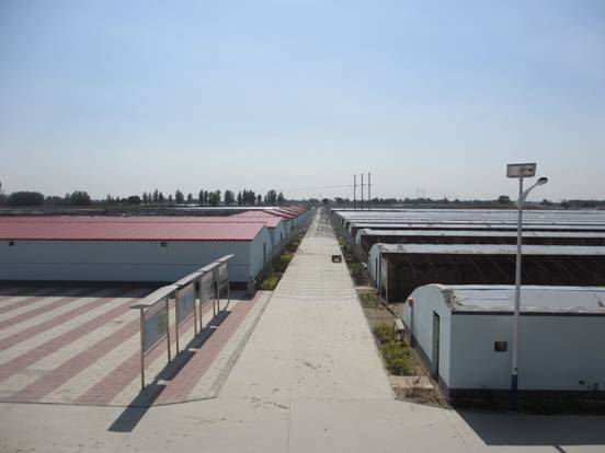 ��ʮ�����˴����λ��齨�飺���ڼ�ǿ���������������������Ľ���