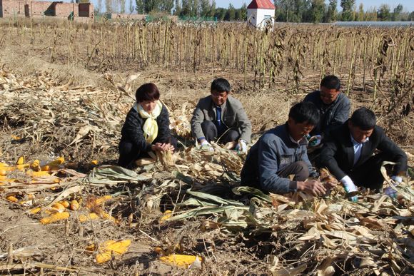 ��������������  ������ũů����