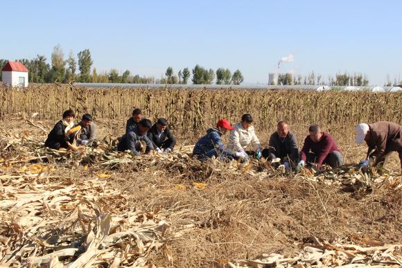 ��������������  ������ũů����