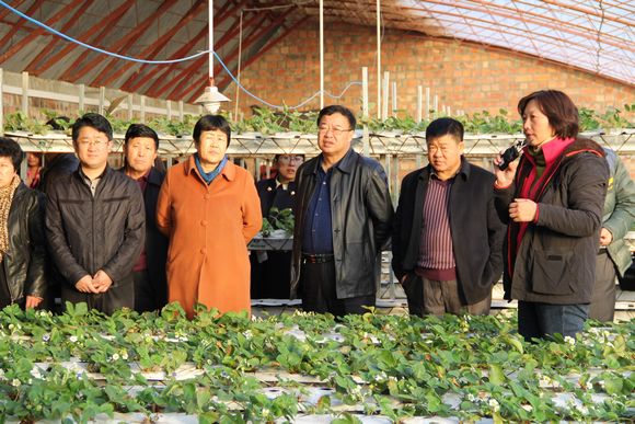 ���˴�ί��ٰ����˴������ѵ��