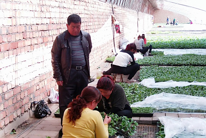 �弶���Ӻö��� �������¸���ͷ��