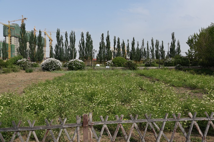 ���˴�ί��������ȫ����ҽ��ҽҩ��չ������е���