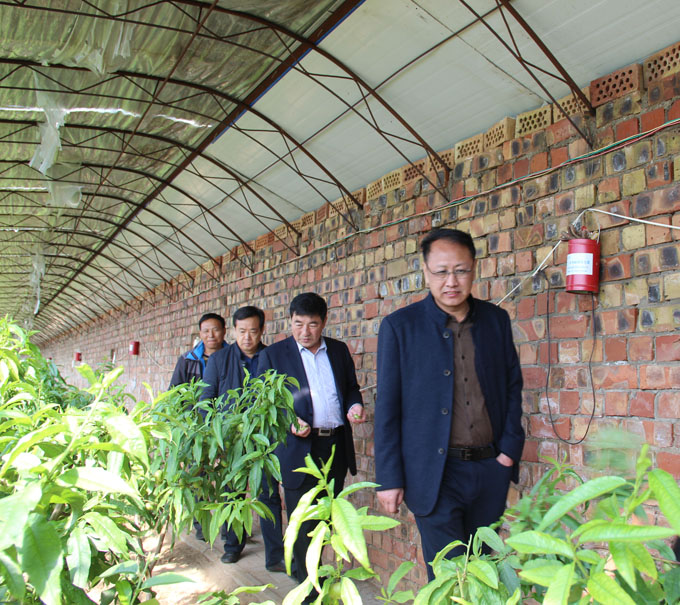 ���˴�ũ��ί���������ָ������С�������塱�������