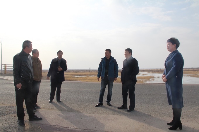 ���˴������ſ���һ�е����ָ�����Ӳ�ƺ��չ��η��蹤�����