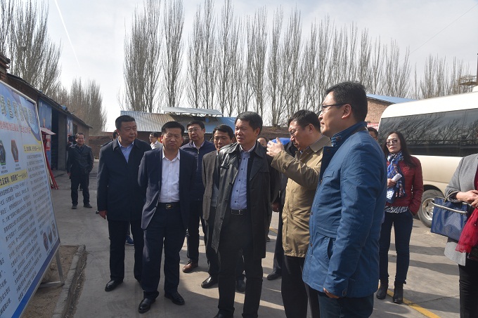 市人大常委会来我区就燃煤散烧治理情况进行主任集体视察