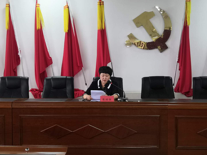 麻池镇举办人大代表提升履职能力培训